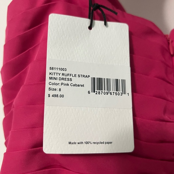 AMUR KITTY RUFFLE MINI DRESS - Picture 6 of 6